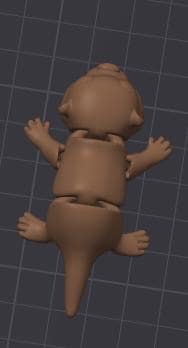 pocket pet
