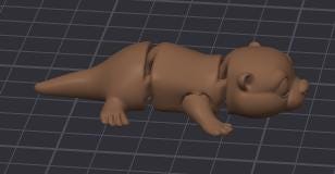 pocket pet