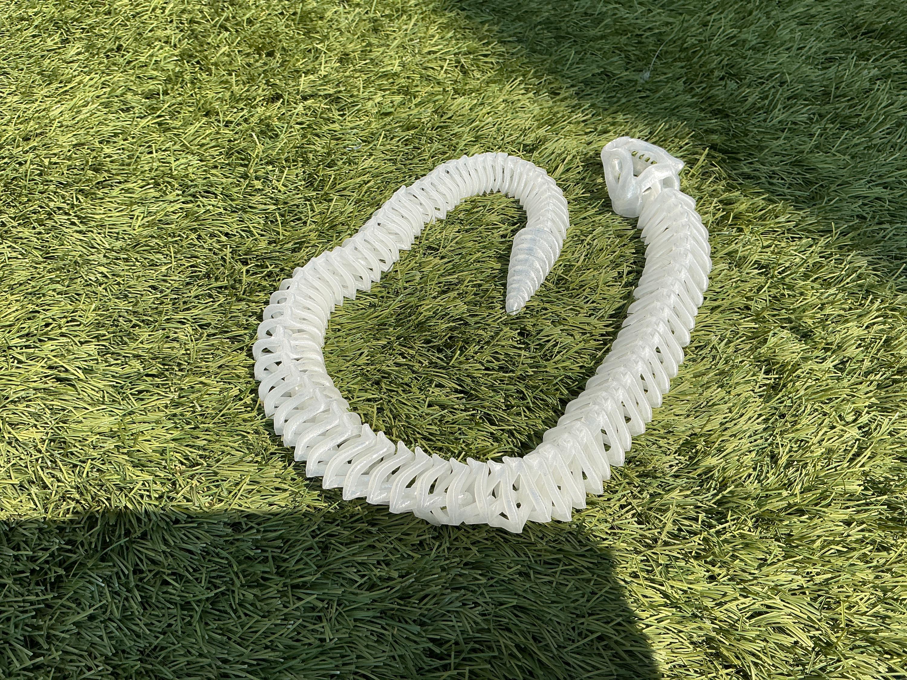 Flexi snake skeleton