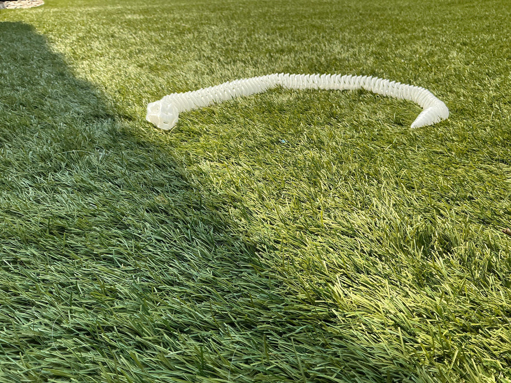 Flexi snake skeleton