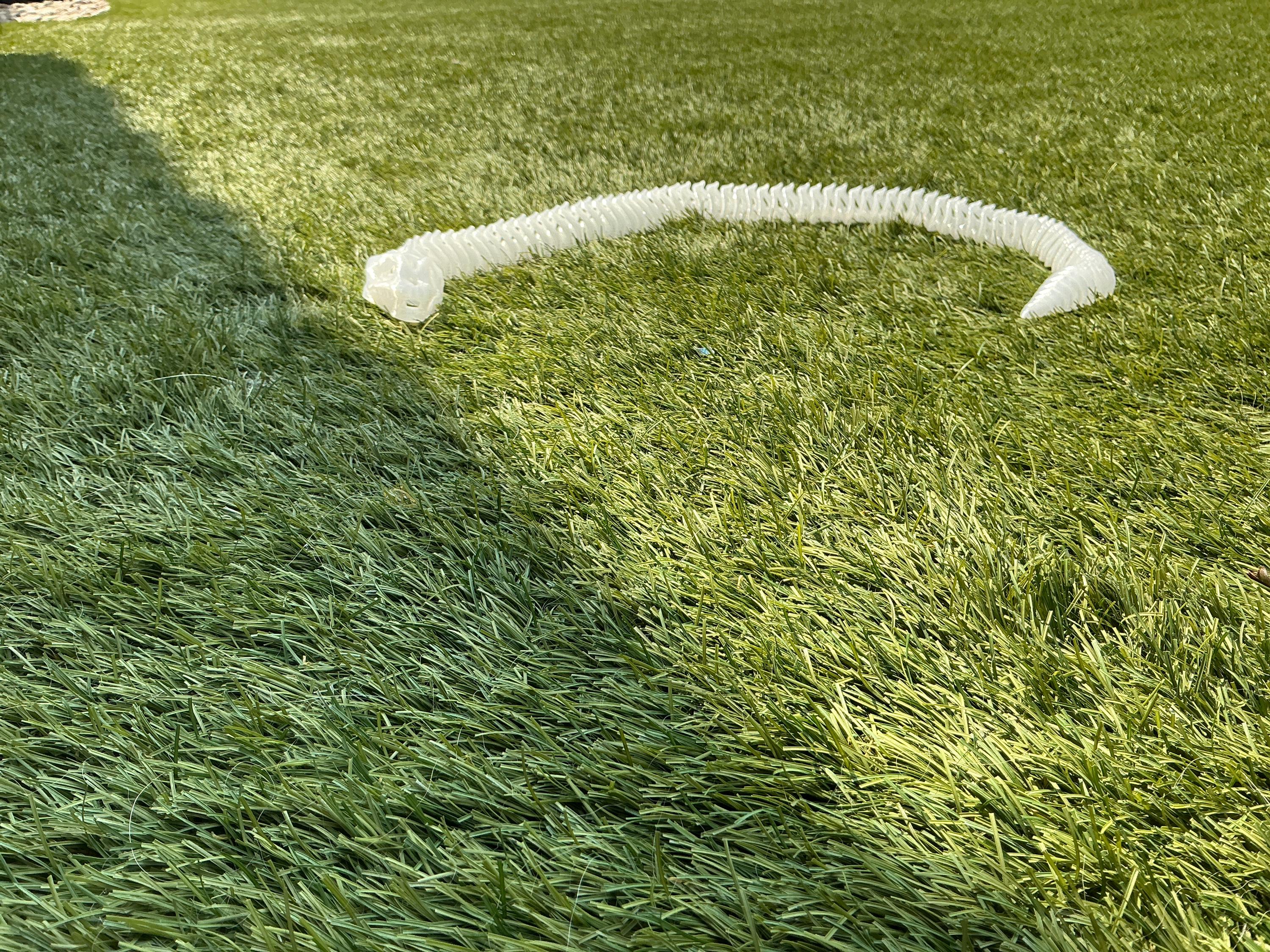 Flexi snake skeleton