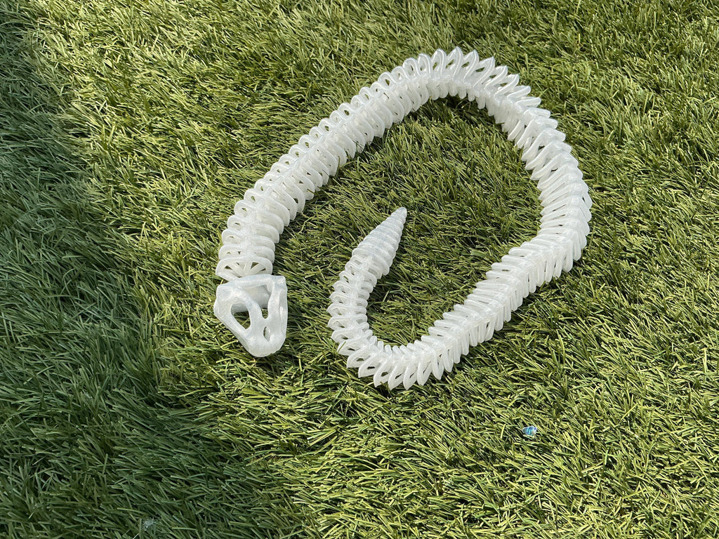 Flexi snake skeleton