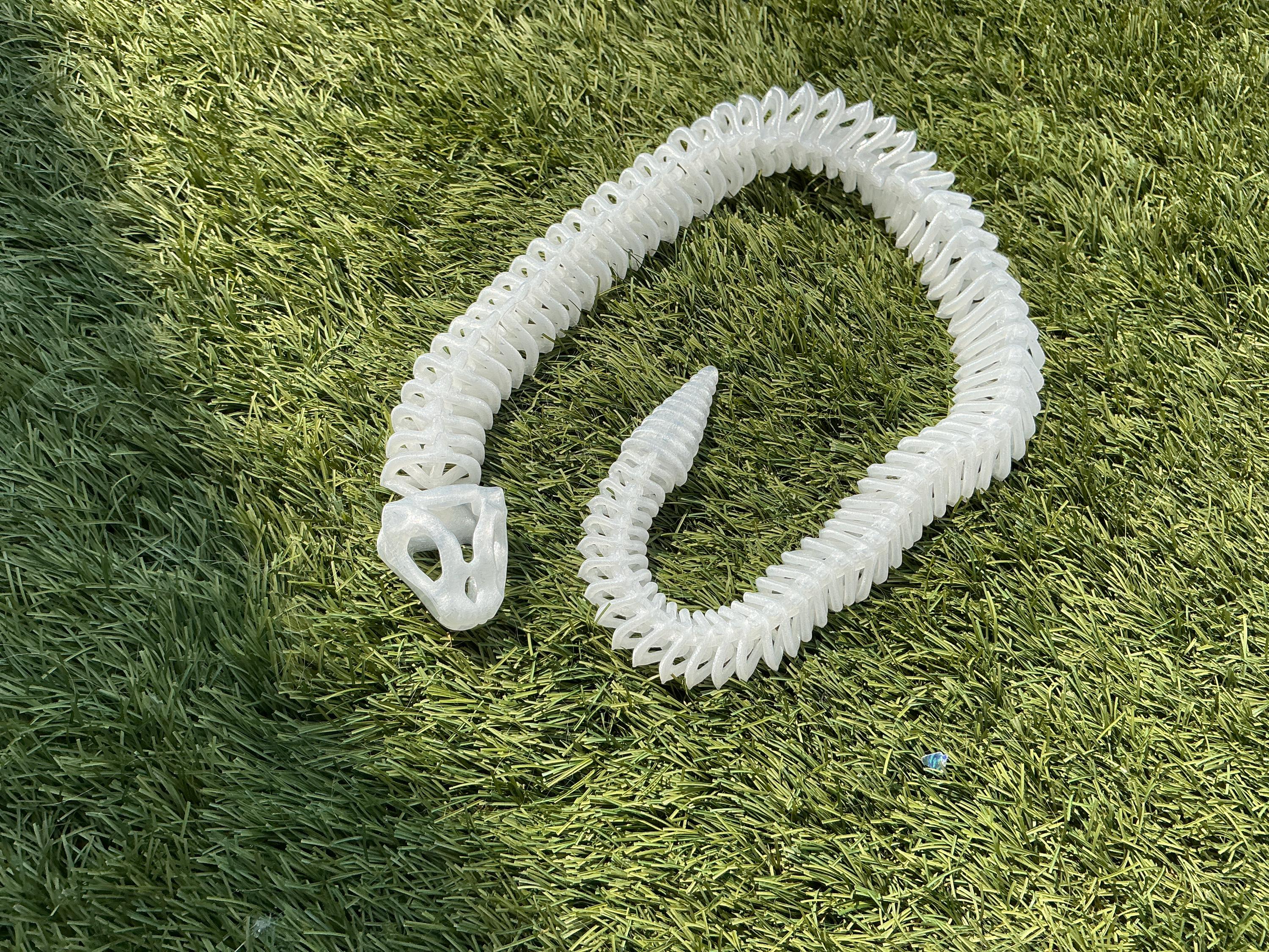 Flexi snake skeleton