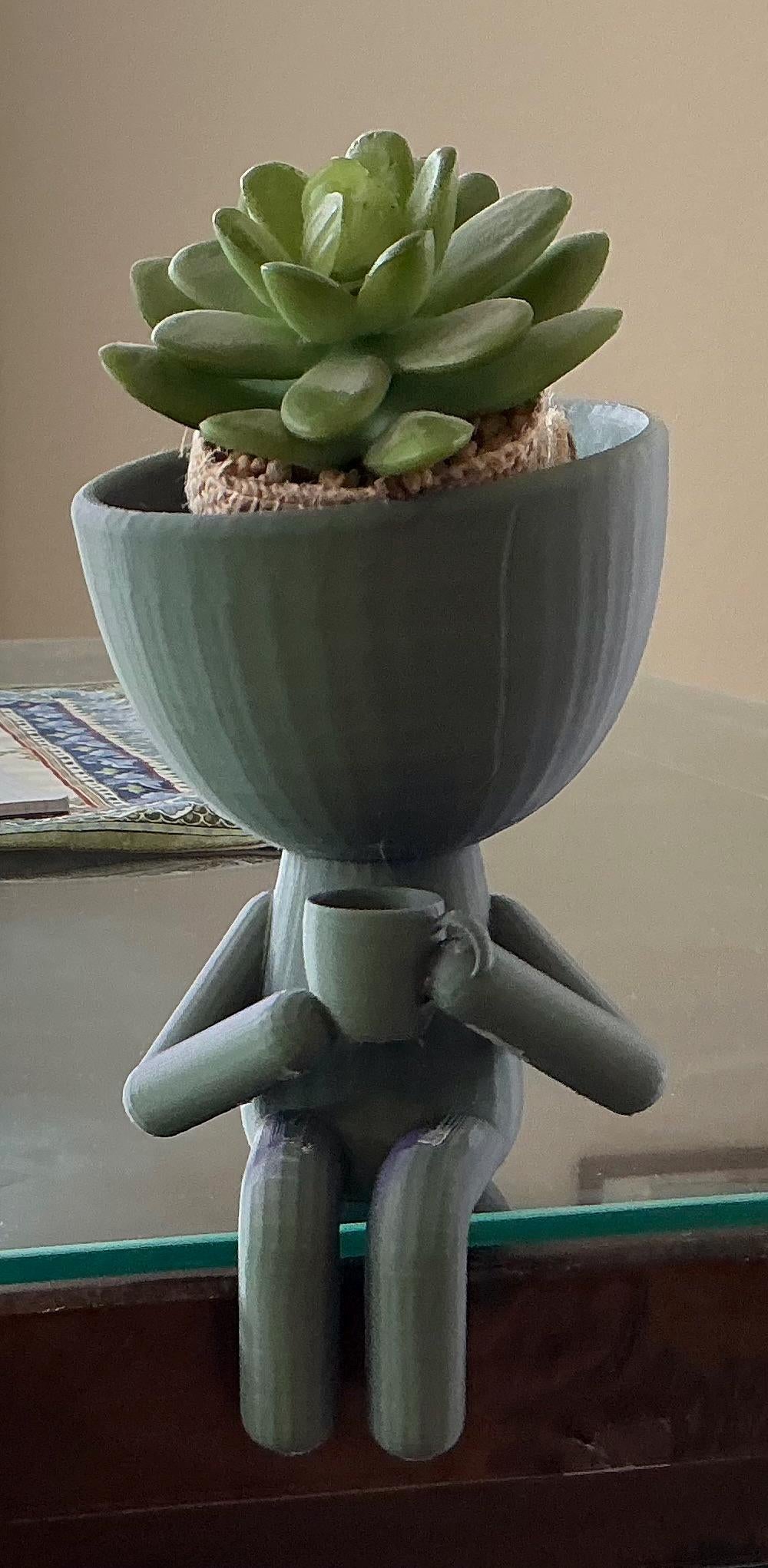 Succulent plant holder