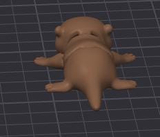 pocket pet