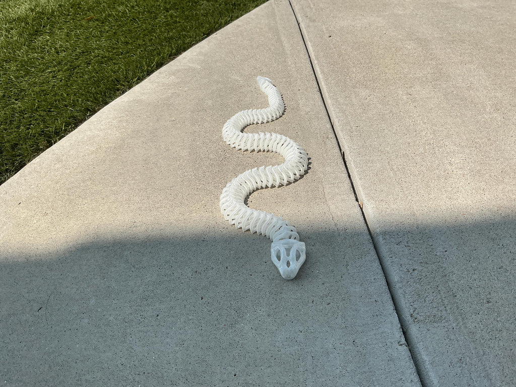 Flexi snake skeleton