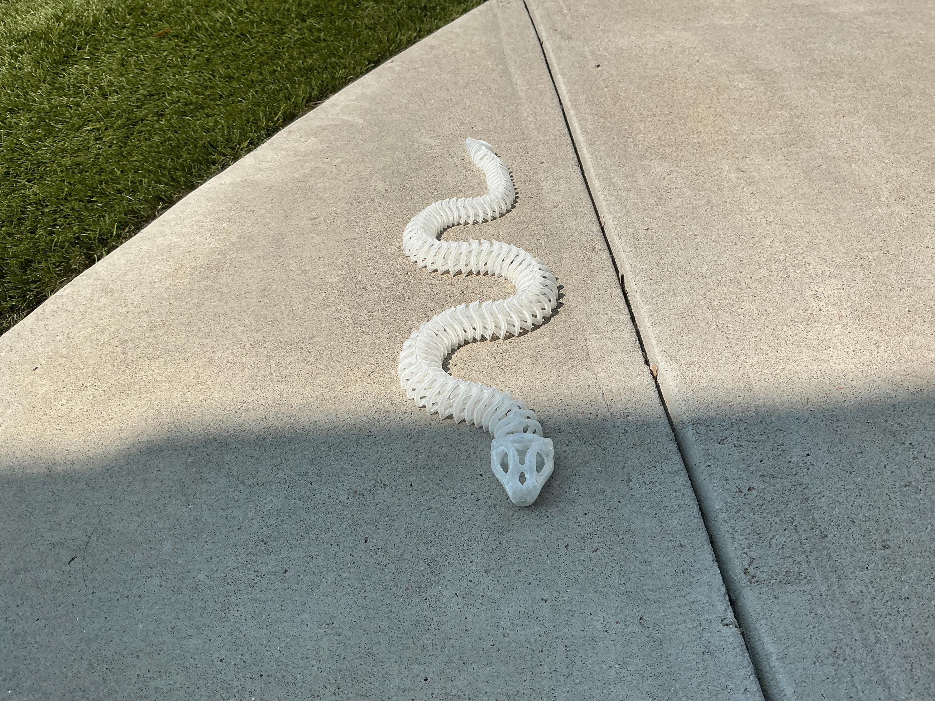 Flexi snake skeleton