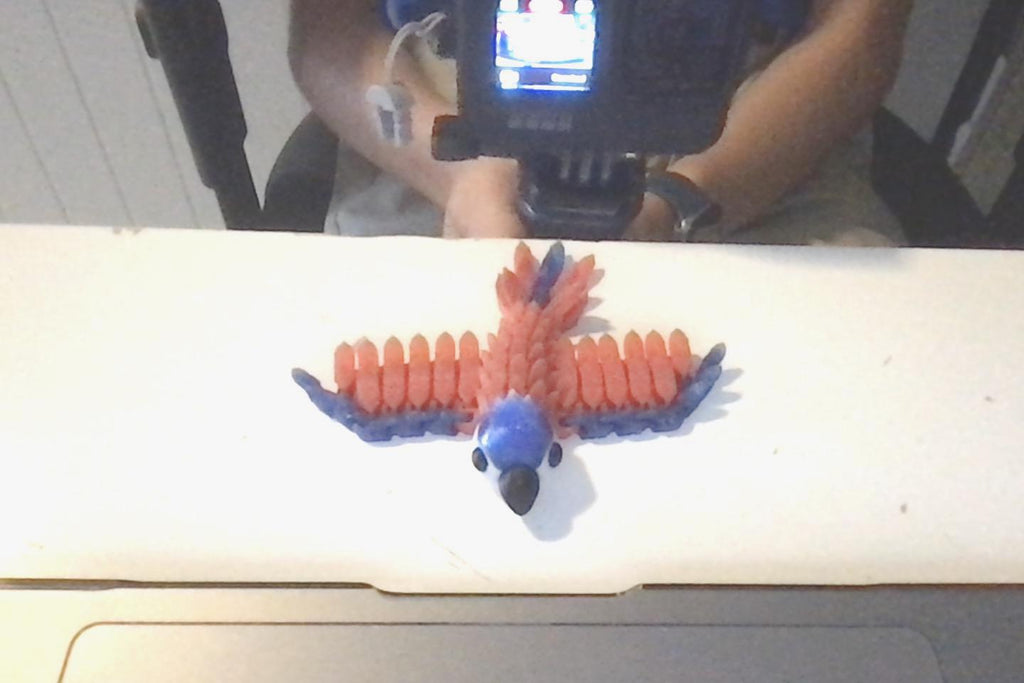 Flexi Articulated Parrot Fidget Toy