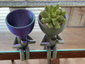 Succulent plant holder