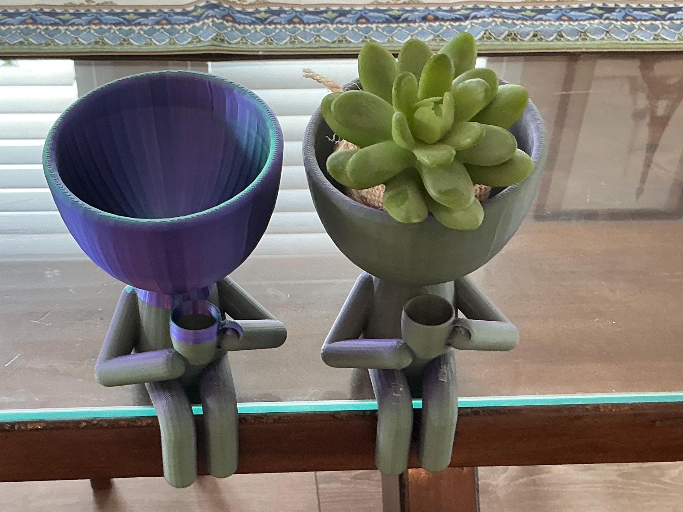 Succulent plant holder