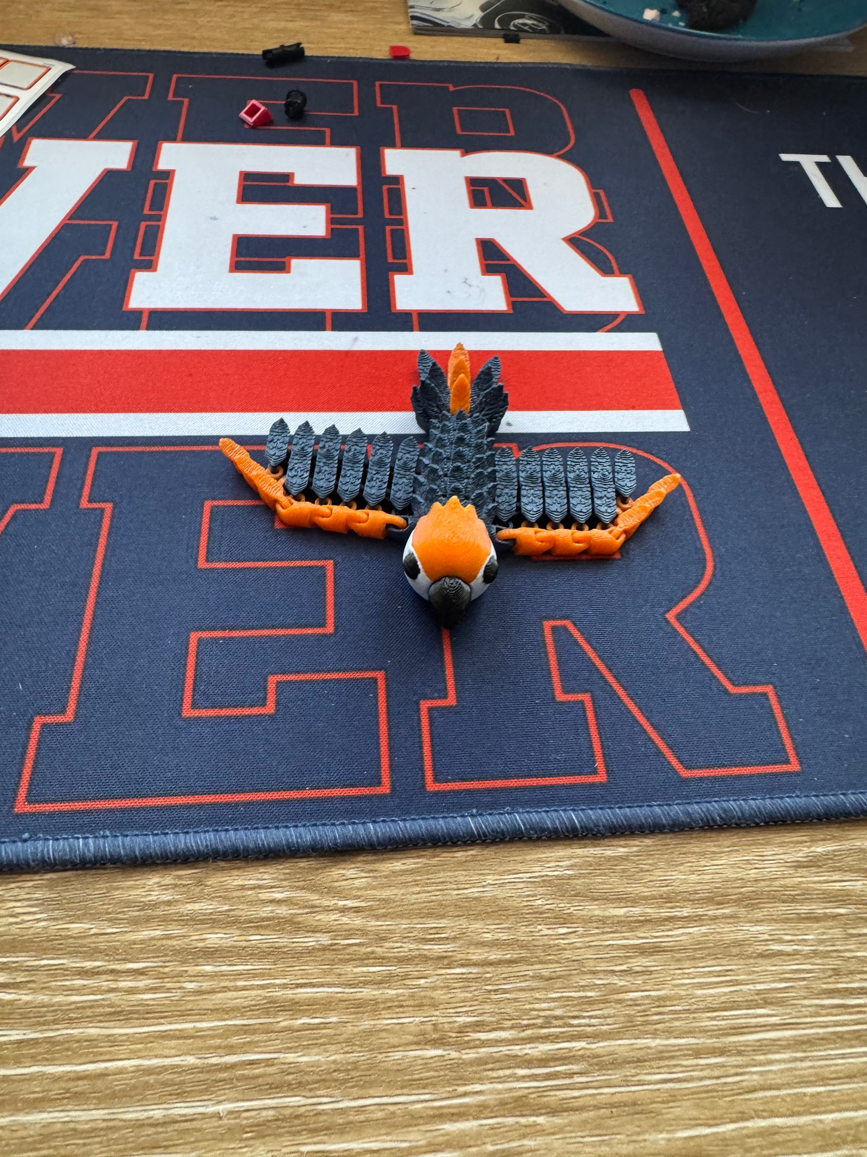 Bronco parrot