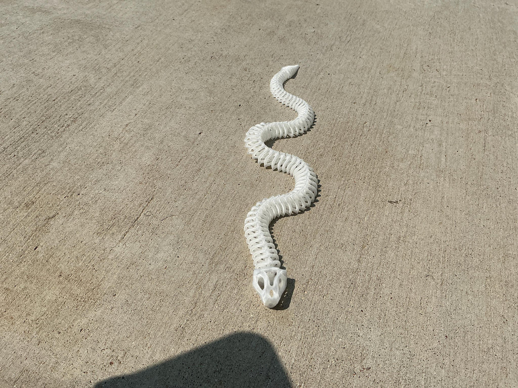 Flexi snake skeleton
