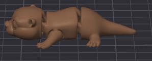 pocket pet